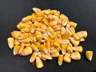close up of a pile of corn seeds. close up of corn seed. Yellow grain corn isolated on background and texture, for popcorn, top view