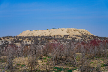 Ruins of the ancient Sogdian capital of Varakhsha, founded in the 1st century BCE in the Bukhara Oasis in the Kyzylkum Desert, Uzbekistan, Central Asia