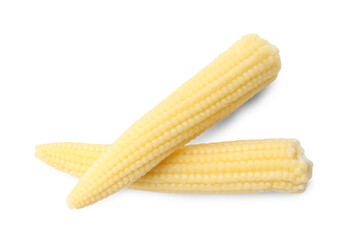 Tasty fresh baby corns isolated on white, top view