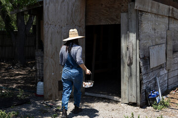 Farmer woman in hat walking to chicken shelter to collect eggs.
