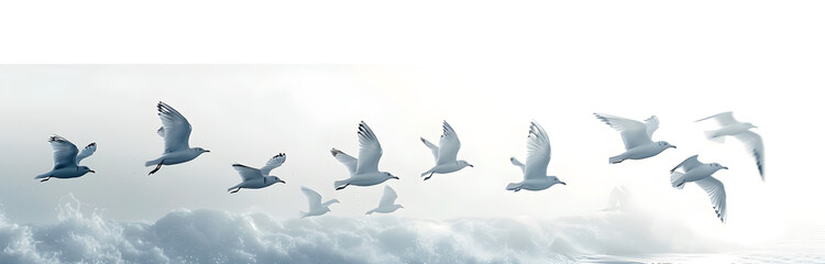 Obraz premium A group of flying white birds isolated on a white background.
