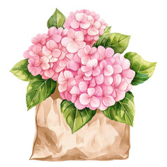 Pink Hydrangea Flower in paper bag, watercolor Illustration
