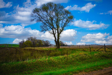 Green Hills and Farmland Prairie with tall trees, horizon, clouds, big sky, and tranquility in...