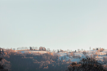 A majestic mountain stands tall in the background, surrounded by lush green trees in the foreground