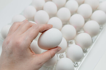 Raw white chicken eggs in tray on white background.