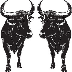 black and white bull