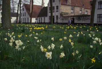 Obraz premium beguinage in brugge in belgique