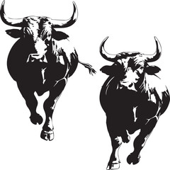 black and white bull