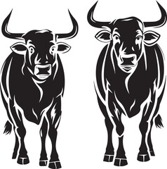 black and white bull