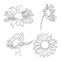 Hand drawn simple flower outline illustration sunflower