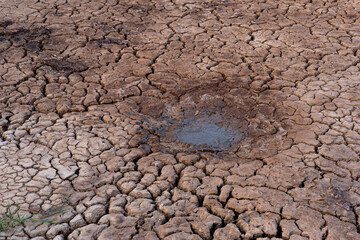 dry land in the dry season Drought, ground cracks, no hot water.Natural Drought concept