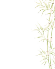 Naklejka premium Bamboo, Hand drawn wedding card