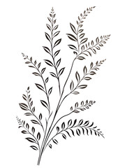 Fern, Hand drawn wedding card