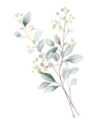 Seeded eucalyptus, Hand drawn wedding card