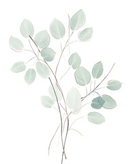 Seeded eucalyptus, Hand drawn wedding card