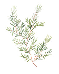 Naklejka premium Yew, Hand drawn wedding card