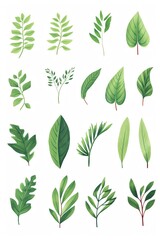 A collection of vibrant green leaves, each with distinct shapes and textures, neatly arranged and photographed against a white background, highlighting their natural details and colors. cartoon drawin