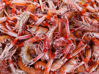Boiled sea langoustine at a seafood market, close-up