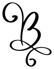 Vector calligraphy hand drawn letter B. Script font icon logo. Handwritten brush style