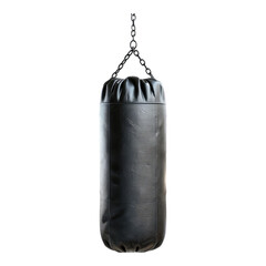 Boxing speed bag isolated on transparent background
