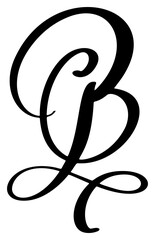 Hand drawn vector calligraphy letter B. Script font logo. Handwritten brush style flourish
