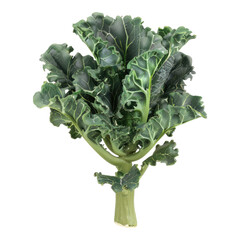 Broccolini cabbage isolated on transparent background