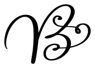 Vector calligraphy hand drawn letter B. Script font icon logo. Handwritten brush style
