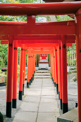 熱海の神社の鳥居