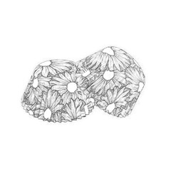 White paper baking forms for muffins and cupcakes with daisy flowers pattern. Hand drawn pencil sketch illustration