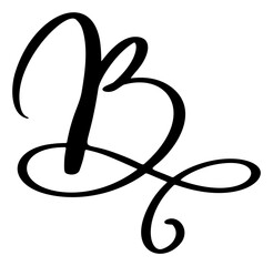 Vector calligraphy hand drawn letter B. Script font logo icon. Handwritten brush style