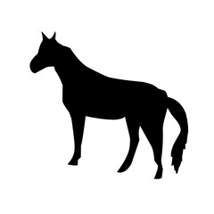 Of vector horses silhouettes
