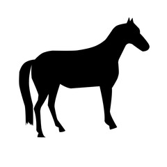 Of vector horses silhouettes