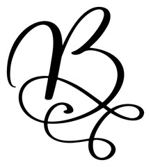 Hand drawn vector calligraphy letter B. Script logo font. Handwritten brush style flourish