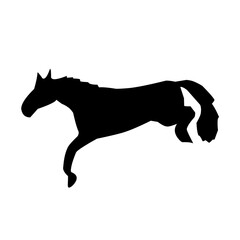 Of vector horses silhouettes