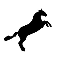 Of vector horses silhouettes