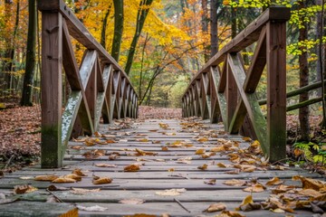 A wooden bridge with a path of leaves on it