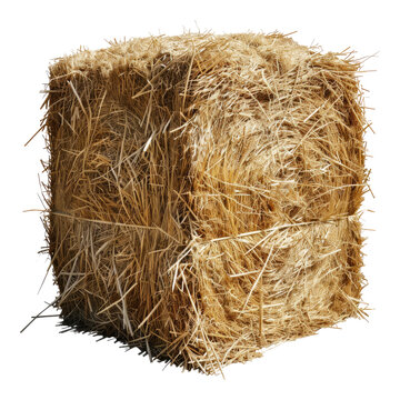 recommend clip art: Hay stack isolated on transparent background