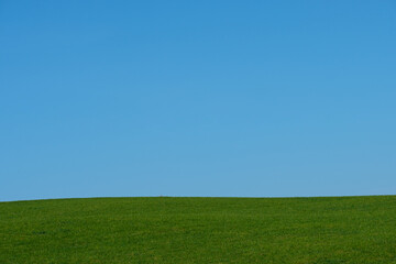 Green meadwo with blue sky scenery