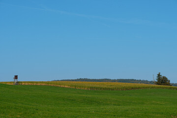Green meadow with forest and blue sky landscape