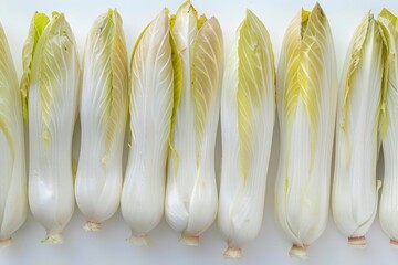 Endive salad with roots on white background healthy meal concept