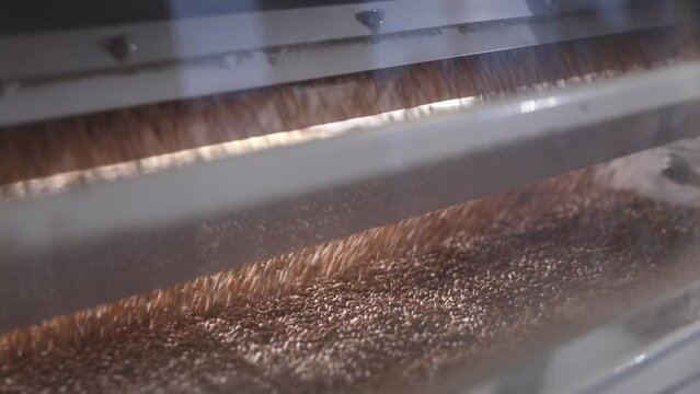 Wheat grains are cleaning and sieving by vibration, modern automated mills. The concept technologies of the food industry of the flour processing complex.