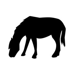 Horse silhouettes graphic vector illustration