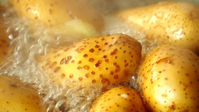 Boling potatoes in pot, in door Chiangmai Thailand.