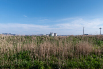 春の川の土手の風景　滋賀県草津市