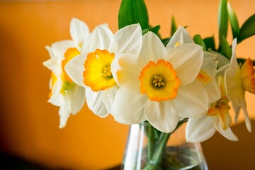 A glass vase with a bouquet of daffodils