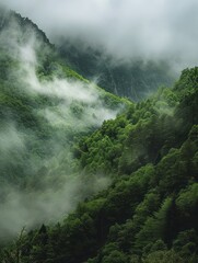 A breathtaking landscape of towering, interwoven mountain peaks adorned with lush greenery, veiled in mist and clouds, creating a refreshing atmosphere. The image is portrayed vertically.