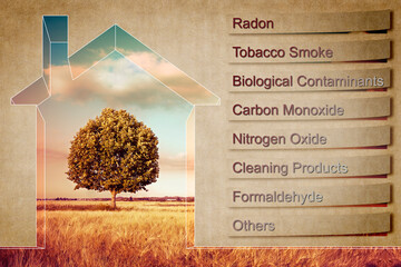 The most common dangerous domestic pollutants we can find in our homes - concept image