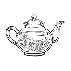 Teapot, mint tea. Hand drawn vector illustration in outline style.
