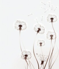 A graphic view of dandelions seeds blowing isolated on white background