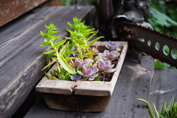 potted bowl of fake artificial succulent plants as simple home decor on a wood tray in a short term...